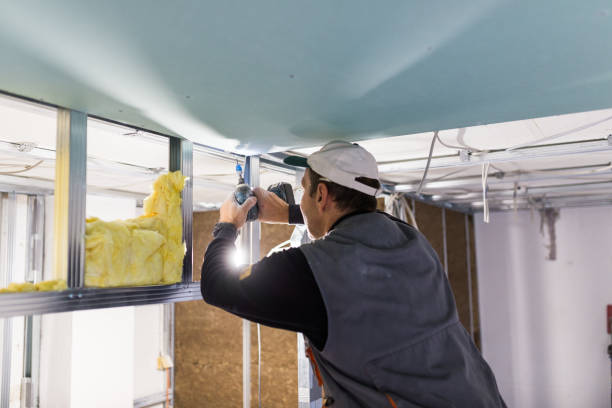 Best Attic Insulation Installation  in Rpinteria, CA