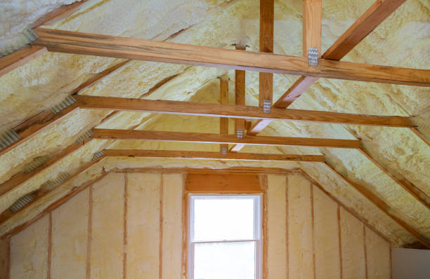 Best Insulation for New Construction  in Rpinteria, CA