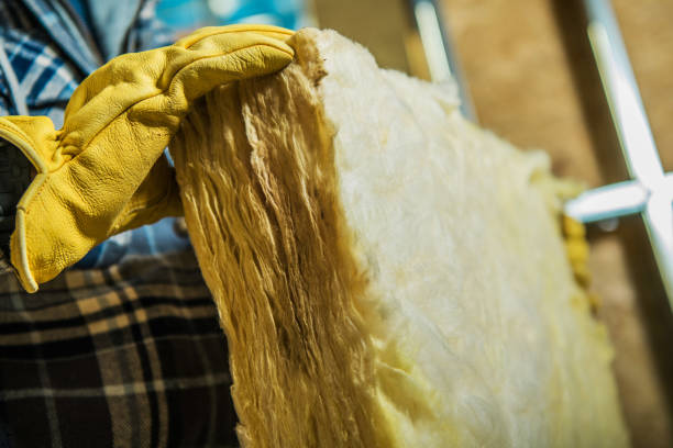 Best Wall Insulation Contractor  in Rpinteria, CA